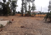 Finca rústica en venda a Sanlúcar de Barrameda ref.: TR394580 foto