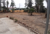 Finca rústica en venda a Sanlúcar de Barrameda ref.: TR394580 foto