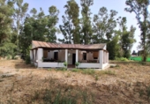 Finca rústica en venda a Sanlúcar de Barrameda ref.: TR394580 foto