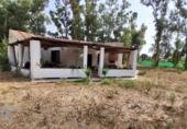 Finca rústica en venda a Sanlúcar de Barrameda ref.: TR394580 foto