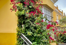 Sanlúcar de Barrameda 172&nbsp;m² 