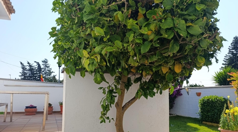 Cádiz - Chiclana de la Frontera - 320m2