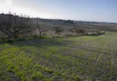 Terreny no urbanitzable en venda a Chiclana de la Frontera ref.: TR394343 foto