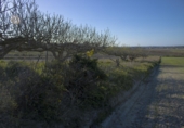 Terreny no urbanitzable en venda a Chiclana de la Frontera ref.: TR394343 foto