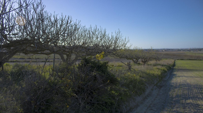 Cádiz - Chiclana de la Frontera - 2484m2
