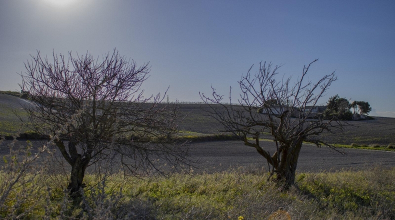 Cádiz - Chiclana de la Frontera - 2484m2