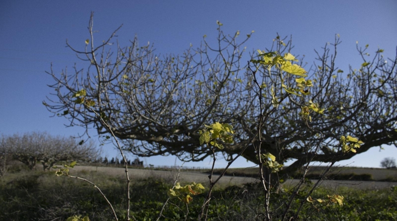 Cádiz - Chiclana de la Frontera - 2484m2