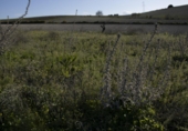 Terreny no urbanitzable en venda a Chiclana de la Frontera ref.: TR394343 foto
