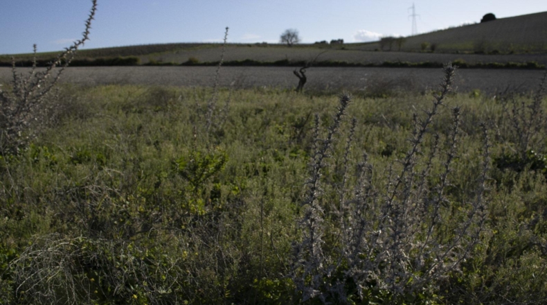 Cádiz - Chiclana de la Frontera - 2484m2