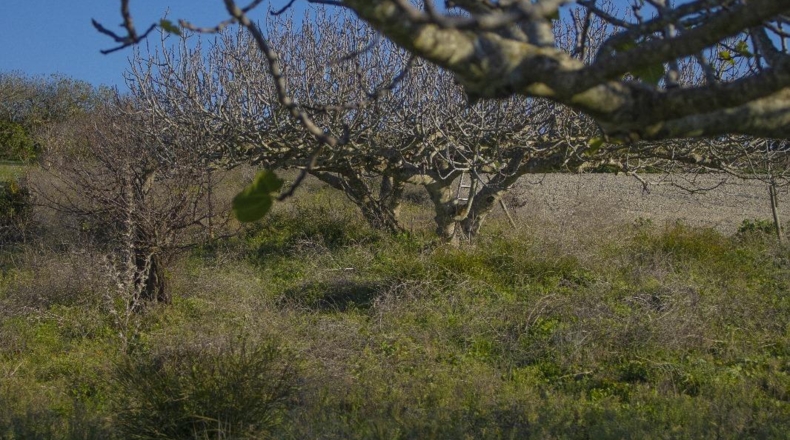 Cádiz - Chiclana de la Frontera - 2484m2