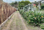Chalet independiente con terreno en venta en Santa Brígida ref: TR394530 foto