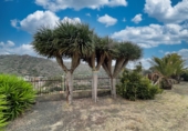 Chalet independiente con terreno en venta en Santa Brígida ref: TR394530 foto