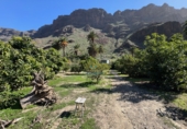 Rural estate for sale in San Bartolomé de Tirajana ref: TR394529 photo