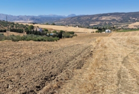 Arriate 6000&nbsp;m² 
