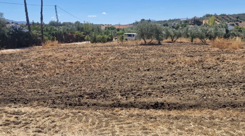 Málaga - Arriate - 6000m2