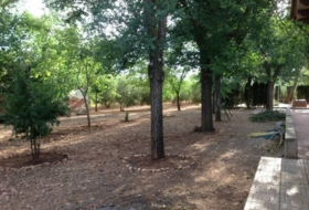 Ciudad Real 3300&nbsp;m² 