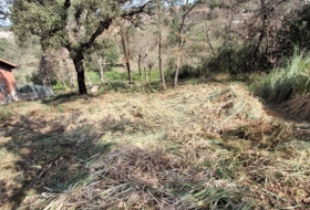 Maçanet de la Selva 642&nbsp;m²
