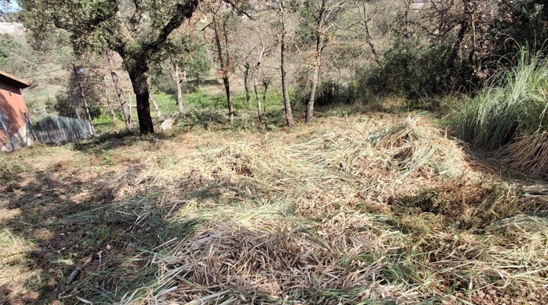 Gerona - Maçanet de la Selva - 642m2