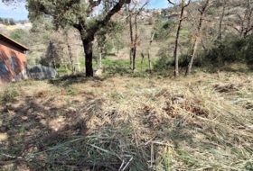 Maçanet de la Selva 642&nbsp;m²