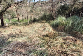 Maçanet de la Selva 642&nbsp;m²