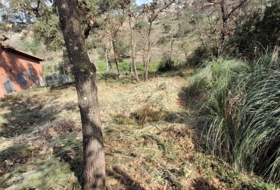 Maçanet de la Selva 642&nbsp;m²