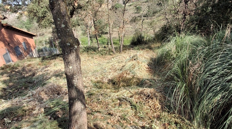 Gerona - Maçanet de la Selva - 642m2