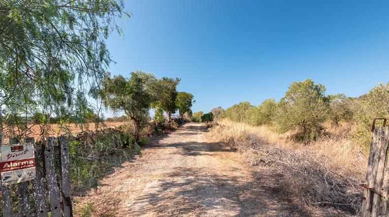 Islas Baleares - Campos - 28500m2