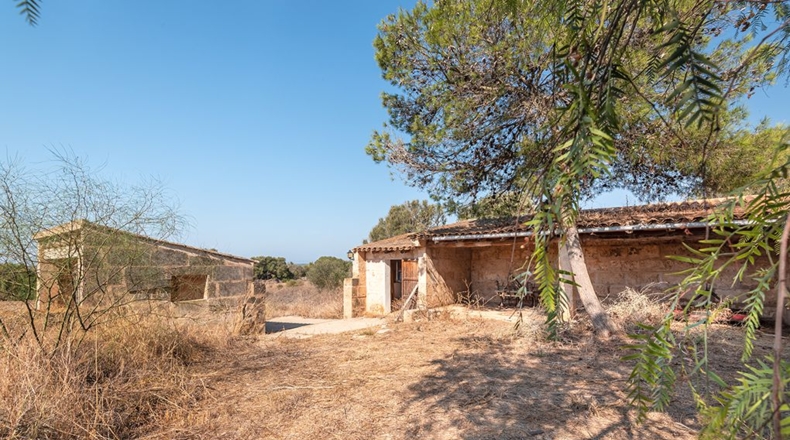 Islas Baleares - Campos - 28500m2