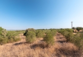 Finca rústica en venta en Campos ref: TR394501 foto