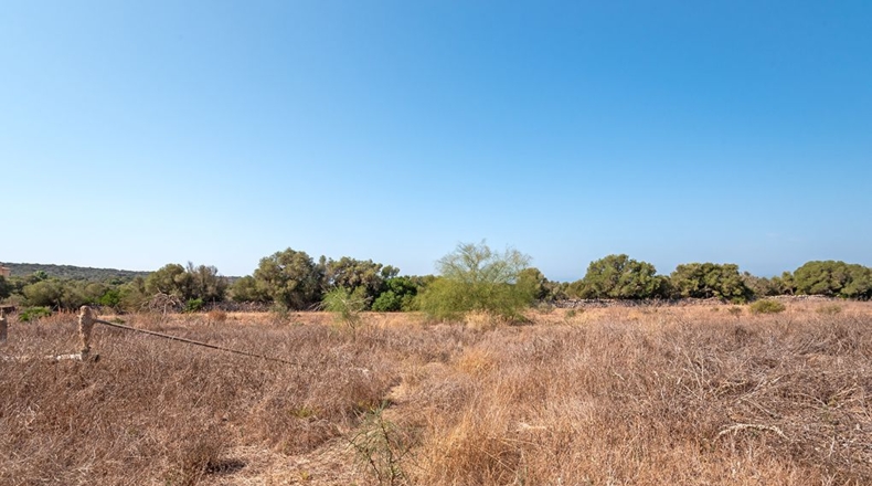 Islas Baleares - Campos - 28500m2