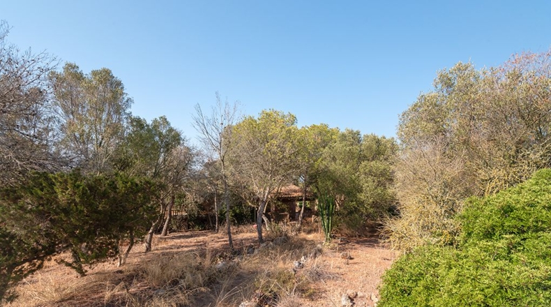 Islas Baleares - Campos - 28500m2