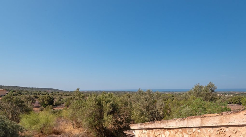 Islas Baleares - Campos - 28500m2