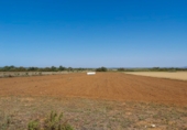 Rural estate for sale in Campo ref: TR394500 photo
