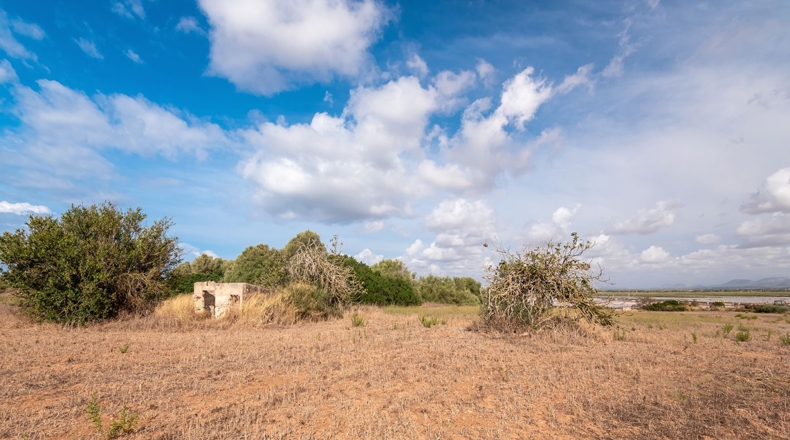 Balearic Islands - Campos - 14532m2