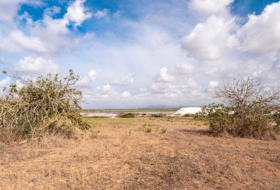 Campos 14532&nbsp;m²