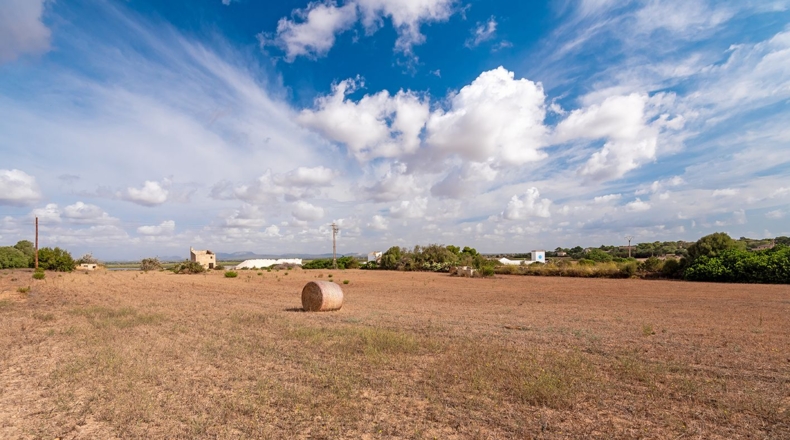 Balearic Islands - Campos - 14532m2