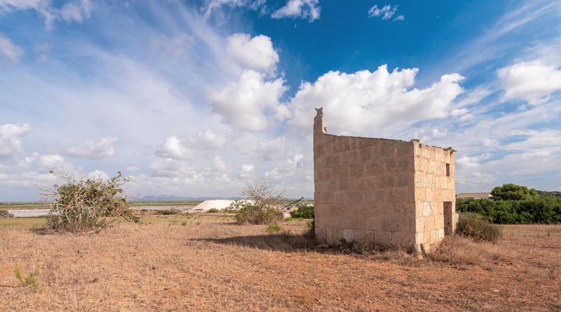 Balearic Islands - Campos - 14532m2