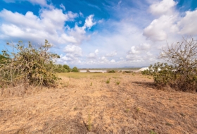 Campos 14532&nbsp;m²