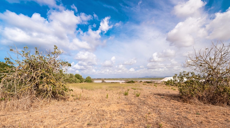 Balearic Islands - Campos - 14532m2