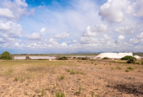 Campos 14532&nbsp;m²