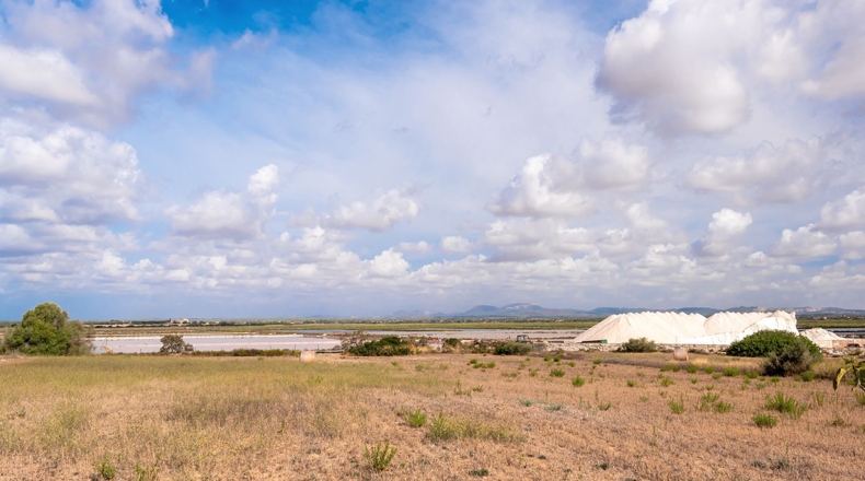 Balearic Islands - Campos - 14532m2