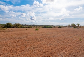 Campos 14532&nbsp;m²