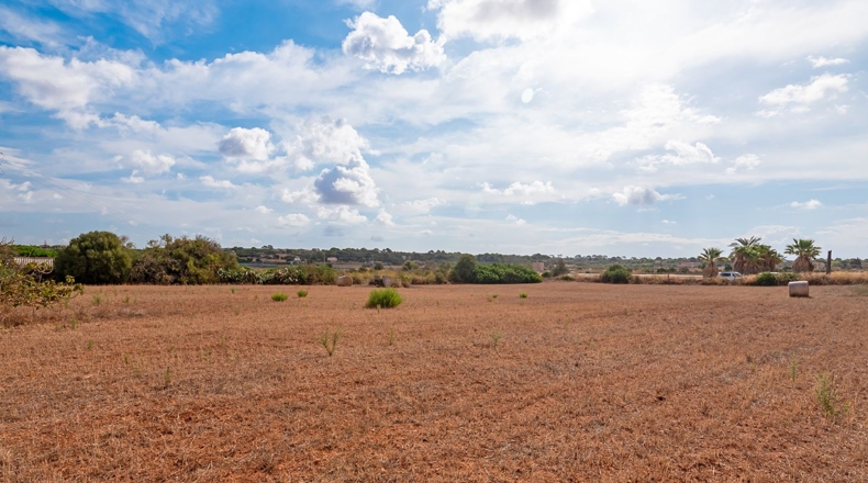 Balearic Islands - Campos - 14532m2
