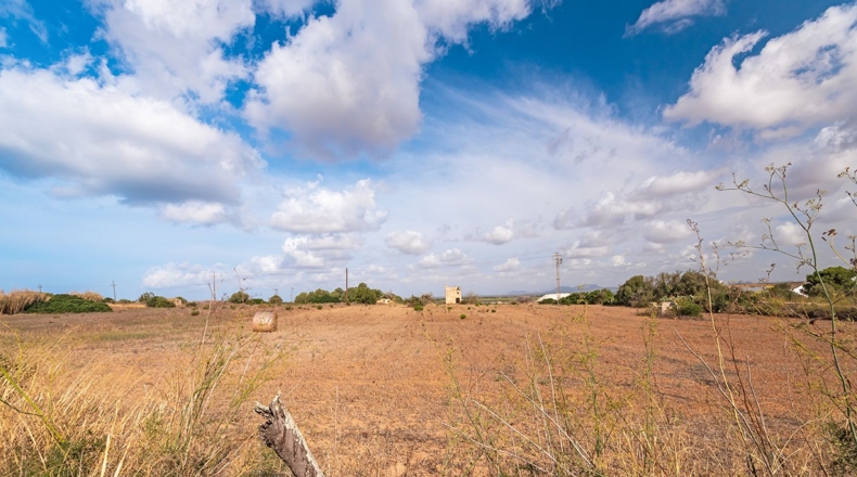 Balearic Islands - Campos - 14532m2