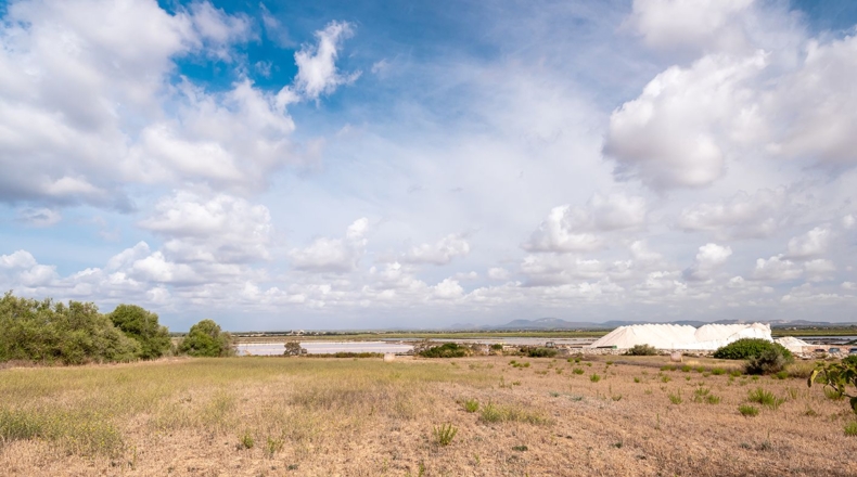 Balearic Islands - Campos - 14532m2