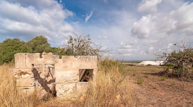 Balearic Islands - Campos - 14532m2