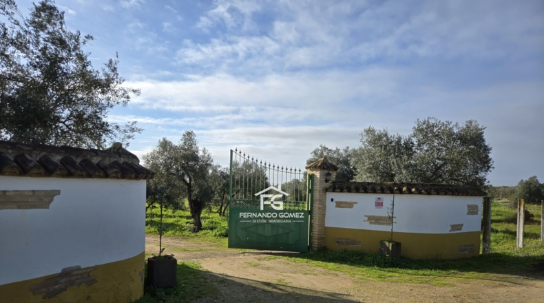 Seville - Pilas - 9330m2