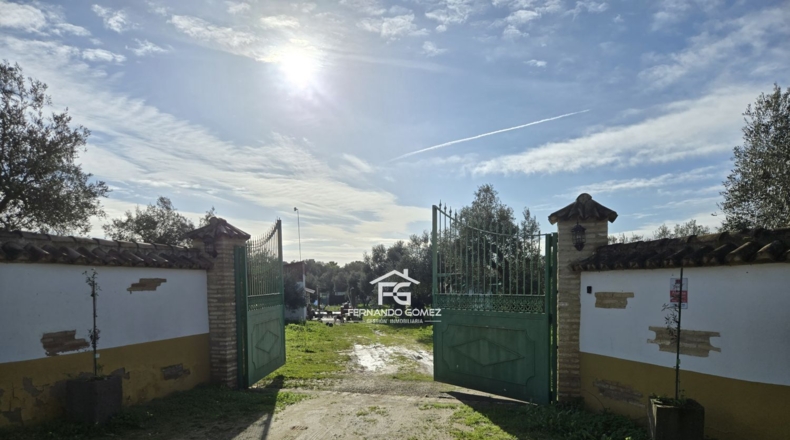 Seville - Pilas - 9330m2