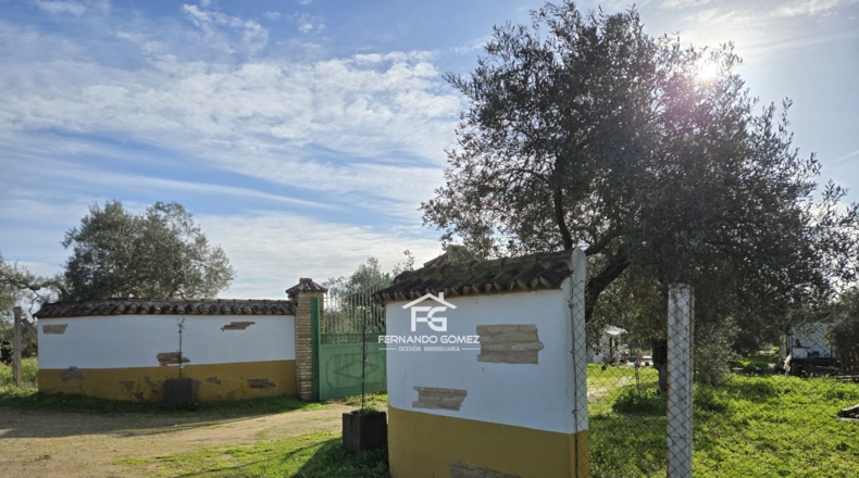 Seville - Pilas - 9330m2