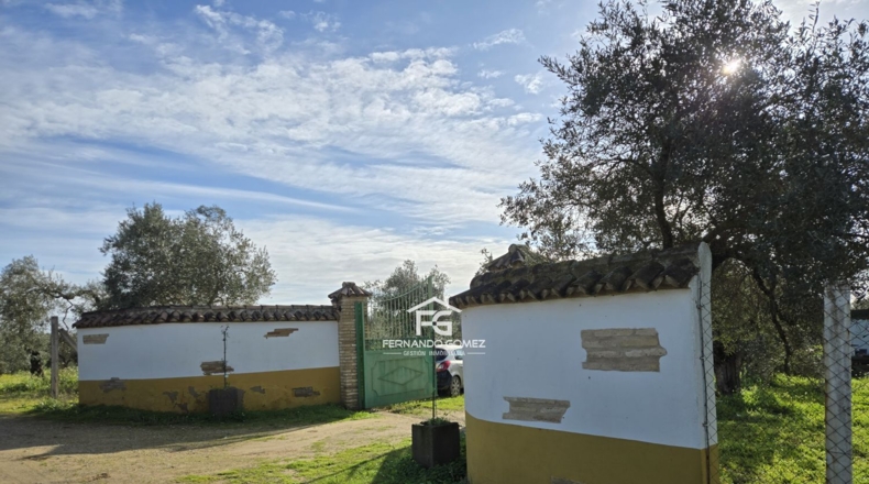 Seville - Pilas - 9330m2
